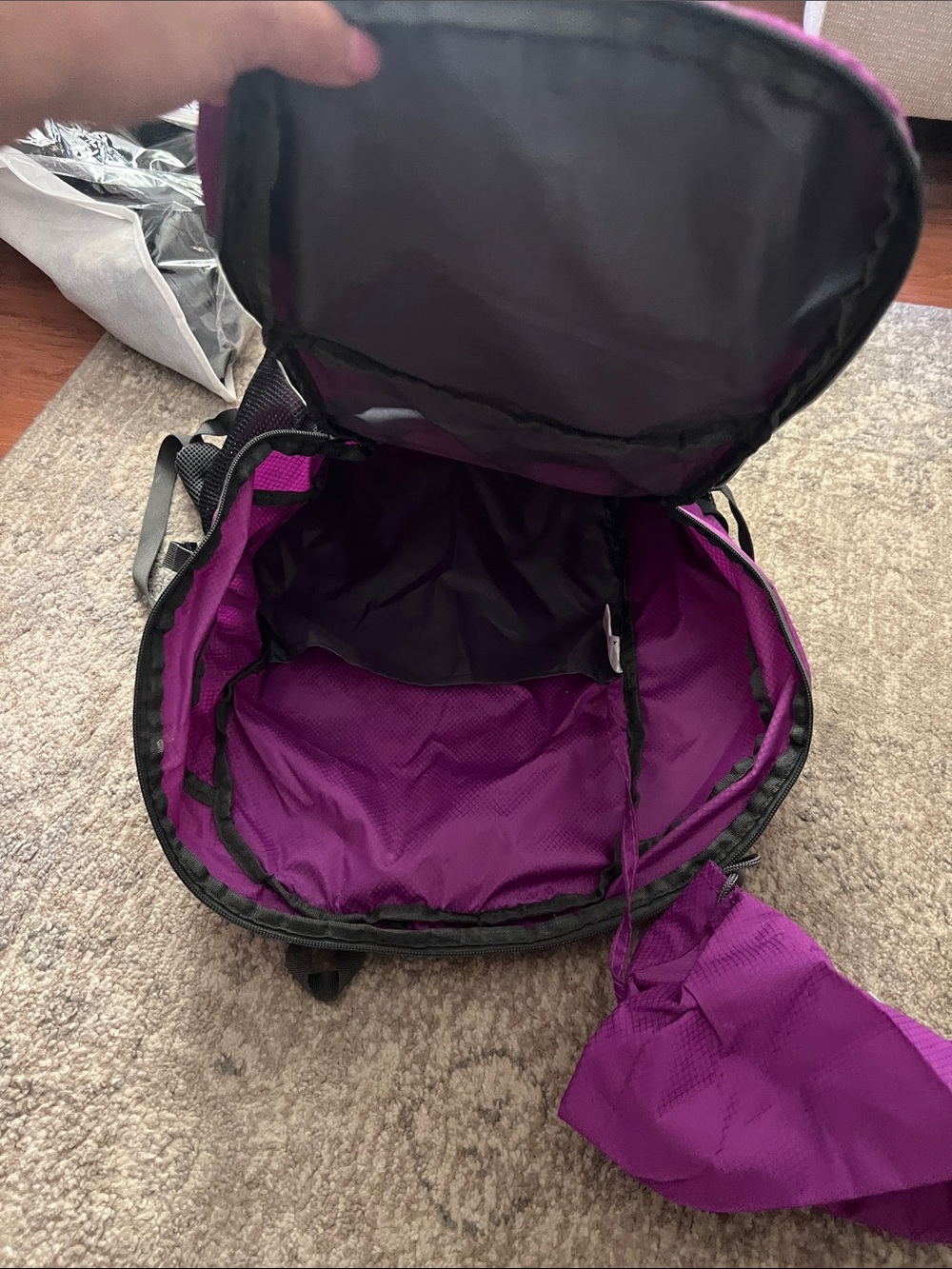 Purple Daypack Backpack - Picture 4 of 7